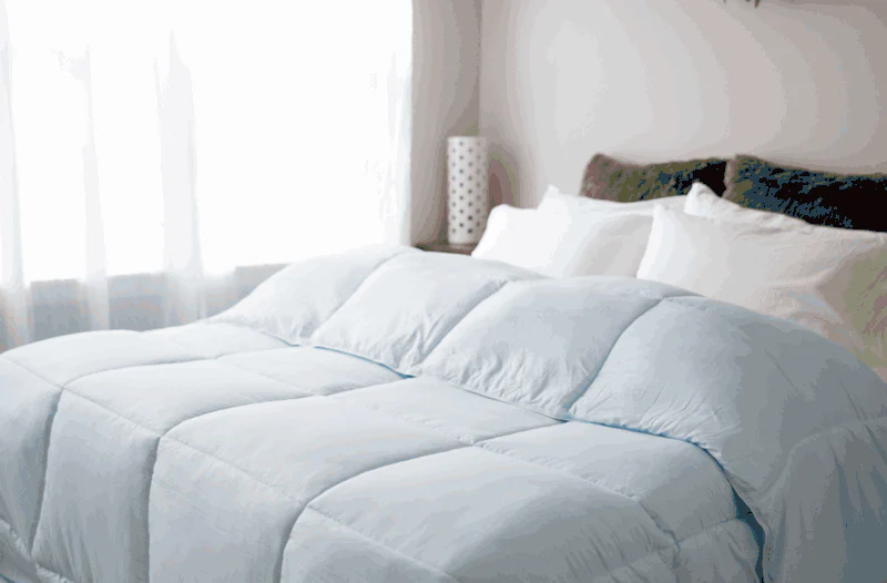 Pillowtex Essential Bedding Package | All Season Comforter with Matching Pillows - Image 7