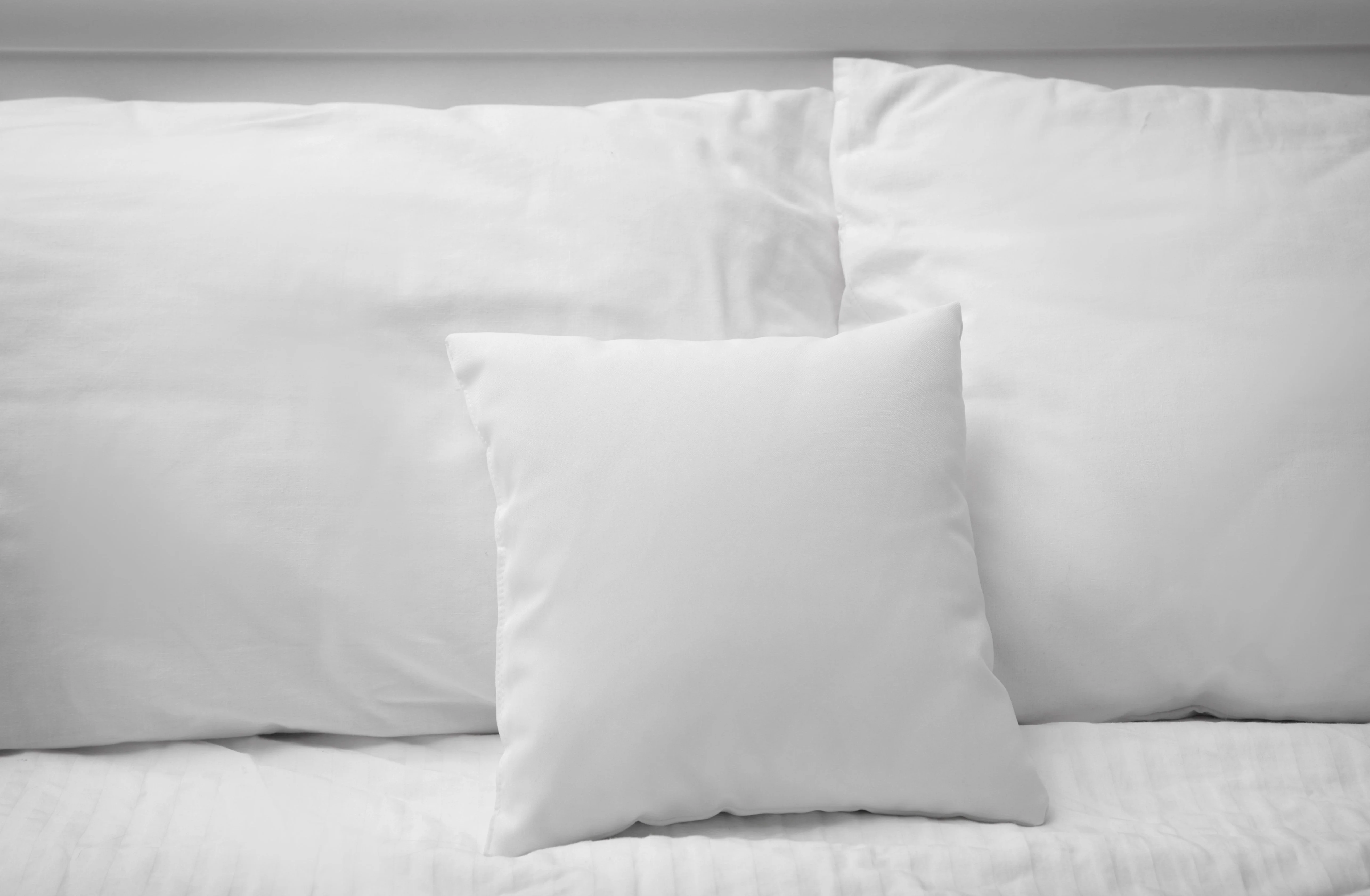 Pillowtex Pillow Insert | 80% White Goose Down - Image 2