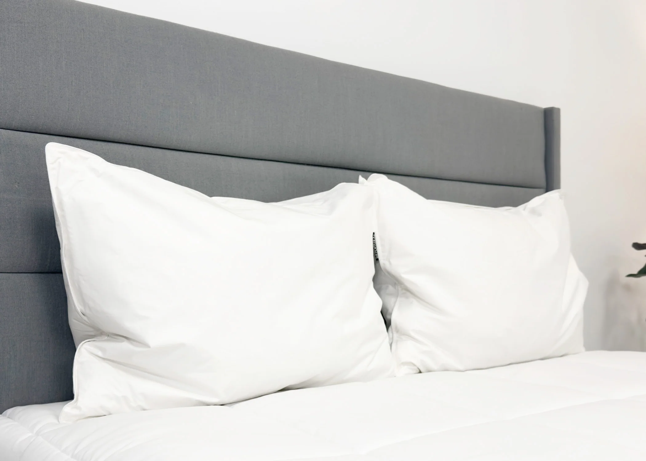 Pillowtex Hotel Feather and Down Pillow Set (Includes 2 Pillows) - Image 3