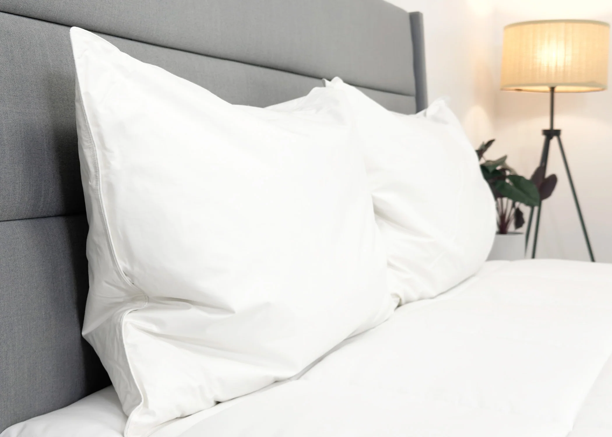 Pillowtex Hotel Feather and Down Pillow Set (Includes 2 Pillows) - Image 5