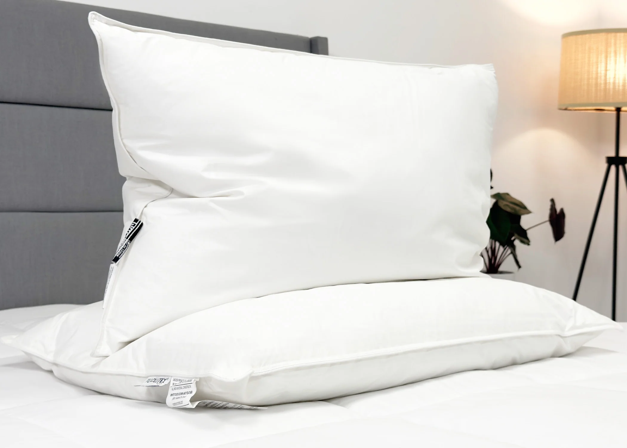 Pillowtex Hotel Feather and Down Pillow Set (Includes 2 Pillows) - Image 7
