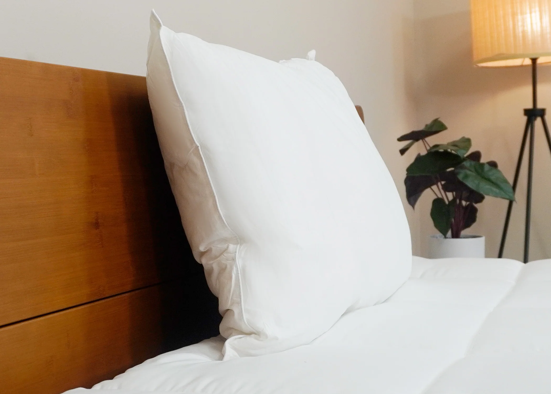 Pillowtex Premium Polyester Pillow | Soft - Image 4