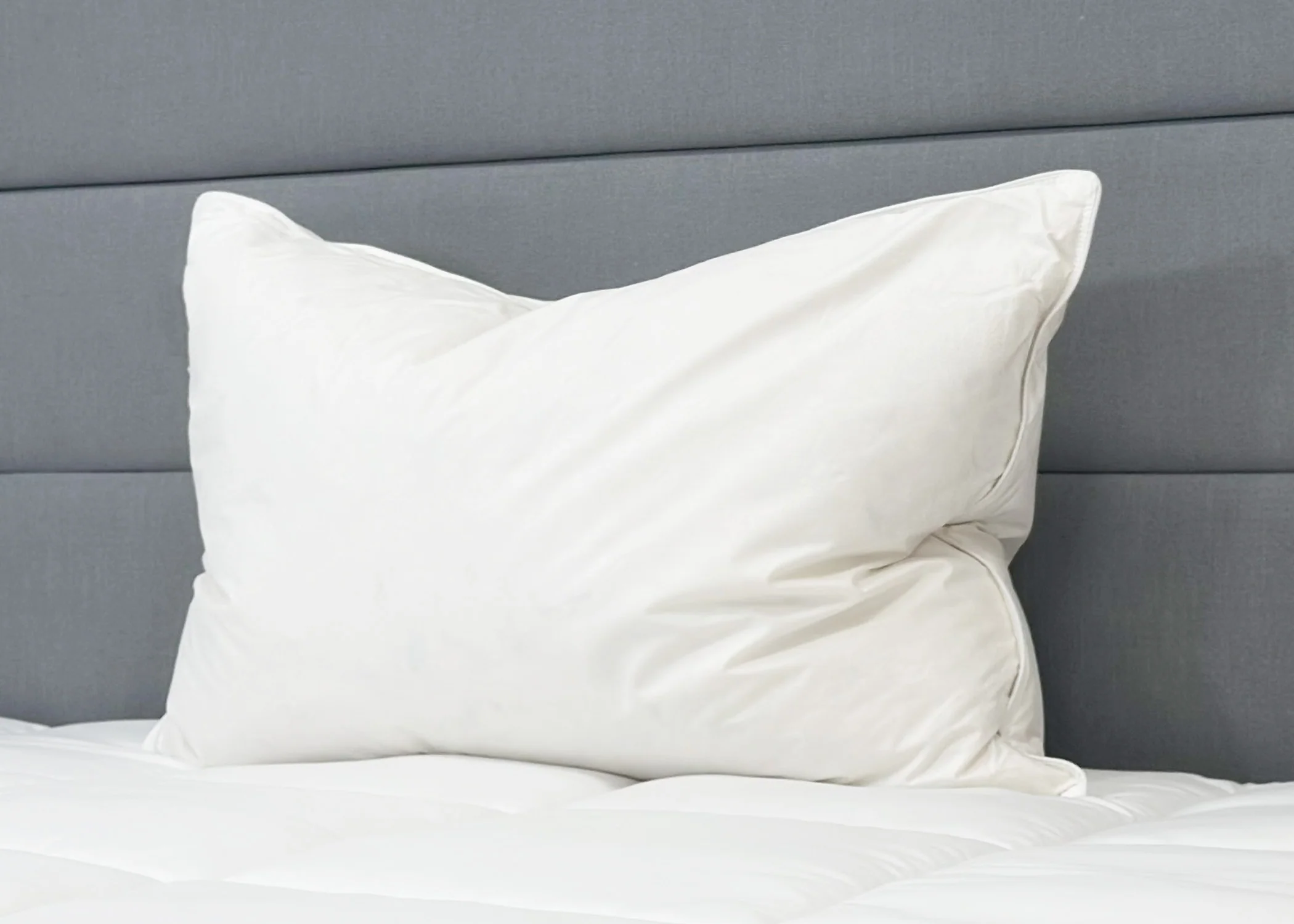 Pillowtex Triple Core White Duck Down & Feather Pillow| Medium-Soft Support