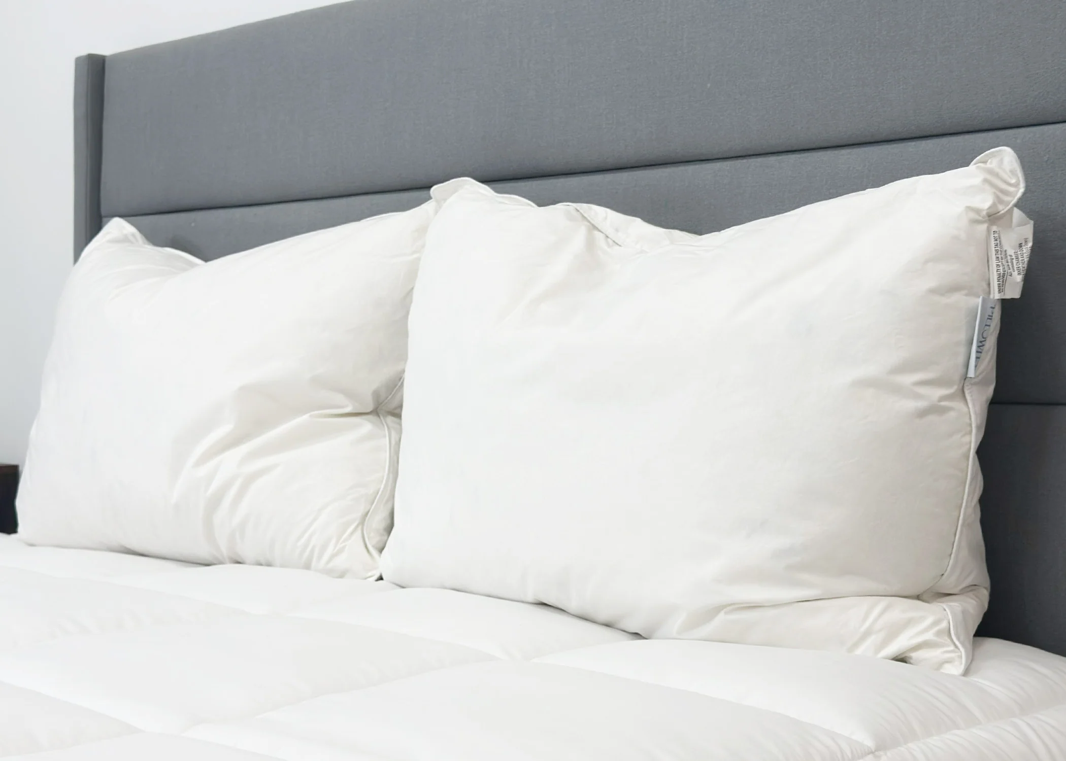 Pillowtex Triple Core White Duck Down & Feather Pillow| Medium-Soft Support - Image 4