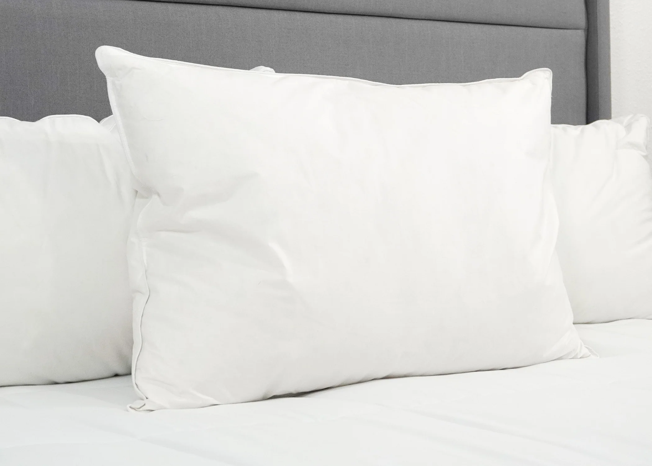 Pillowtex White Goose Down & Feather Pillow | 75% Feather/25% Down - Image 5