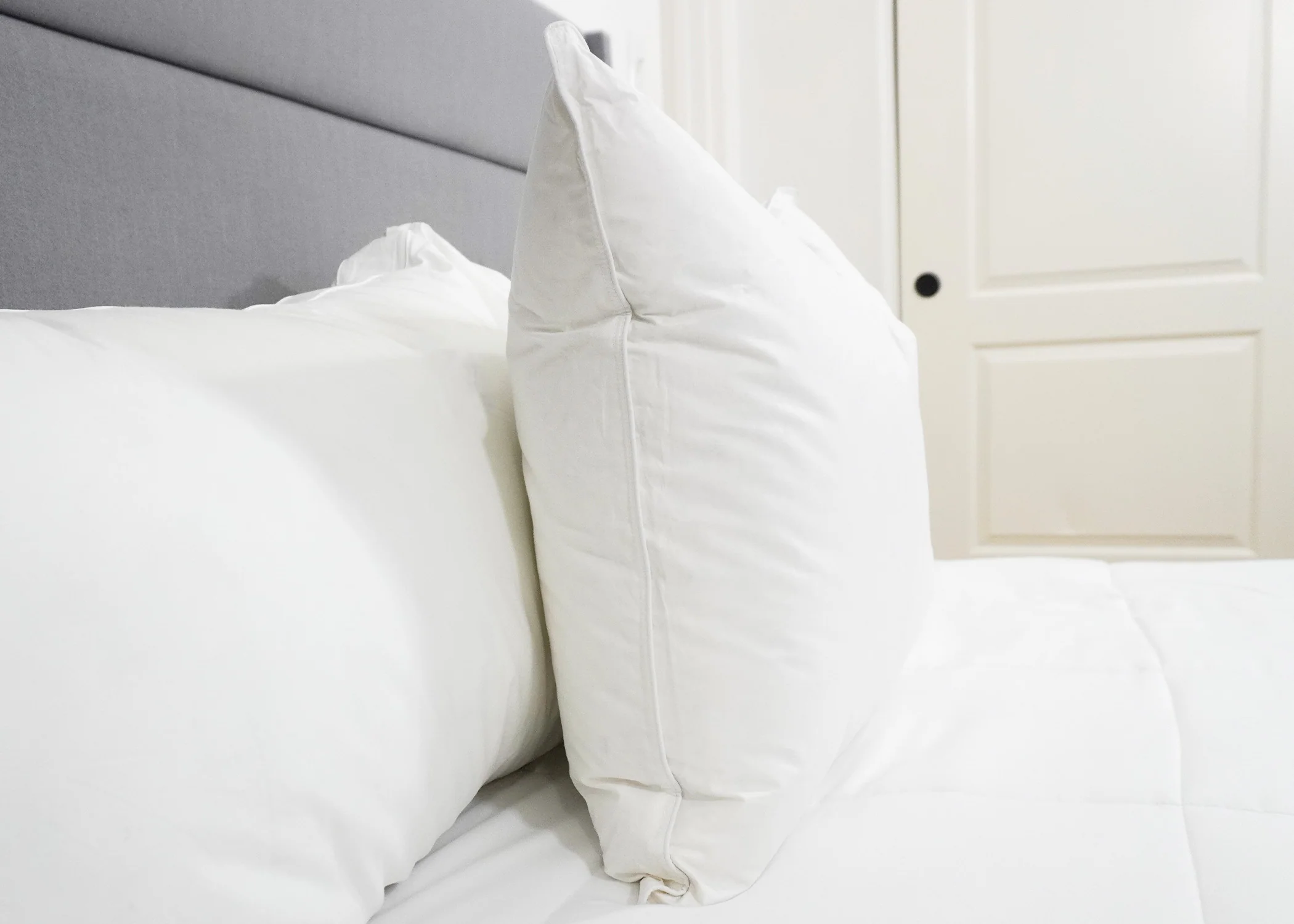 Pillowtex High End White Goose Down Pillow | 50% Feather/50% Down - Image 3