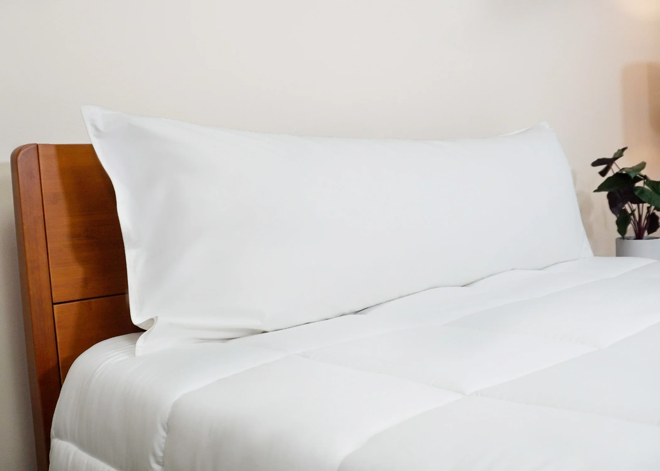 Pillowtex Body Pillow Cover | 100% Cotton