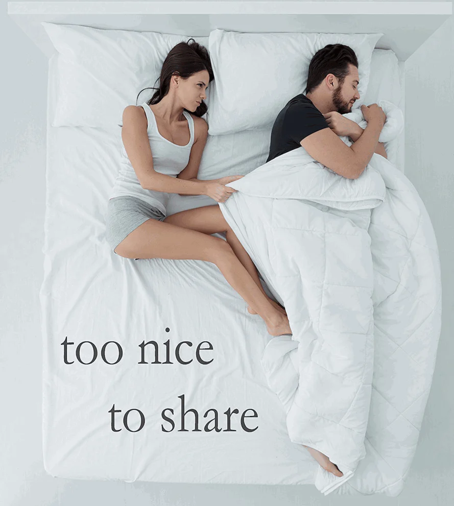 Pillowtex High End Down Comforter - Image 3
