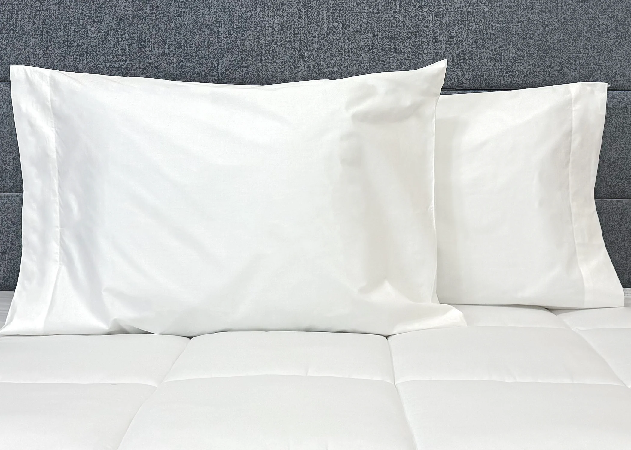 Pillowtex Cotton Pillowcase Set (Includes 2 Pillowcases) - Image 3