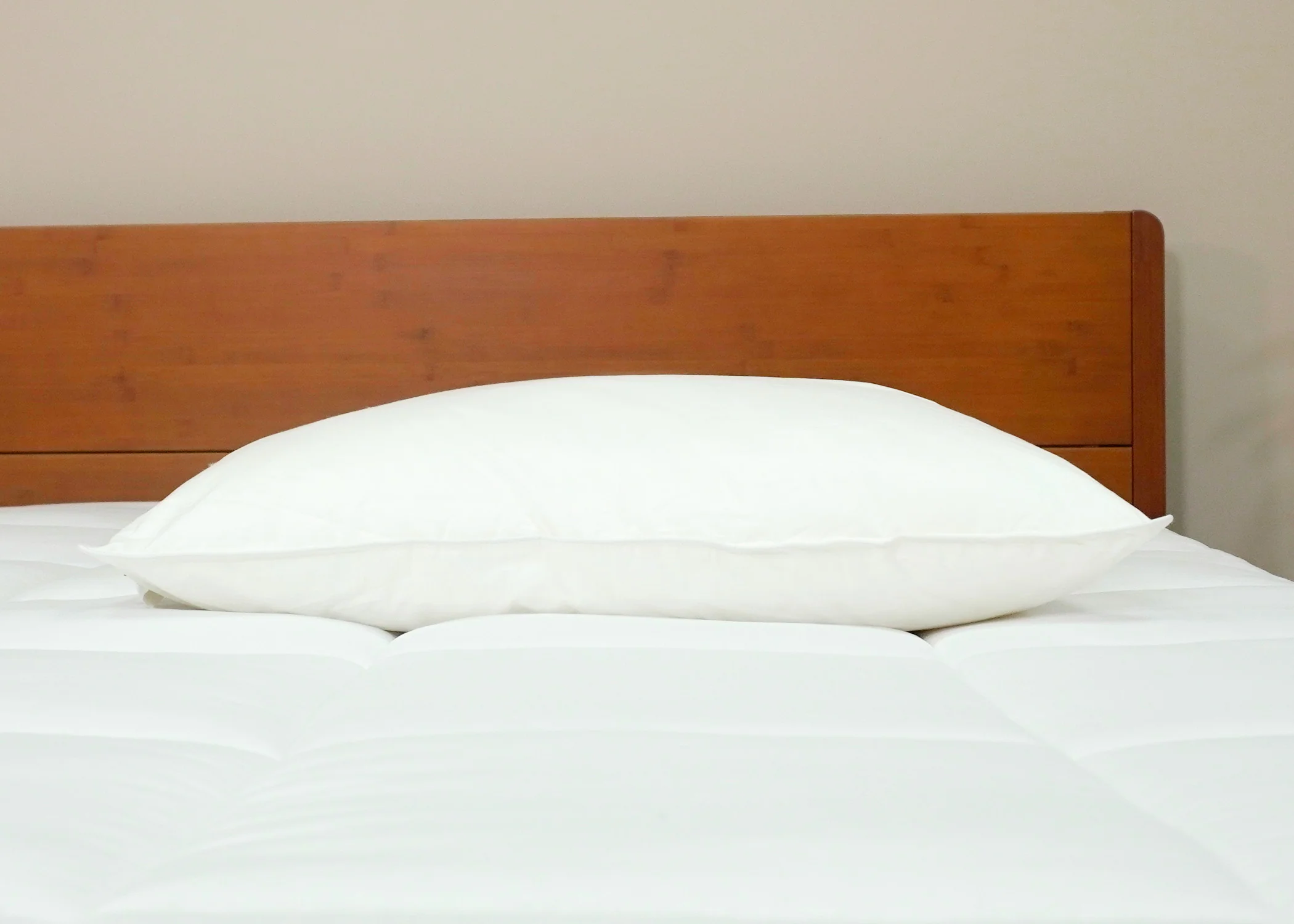 Pillowtex Green Tag Super Soft Pillow - Image 6