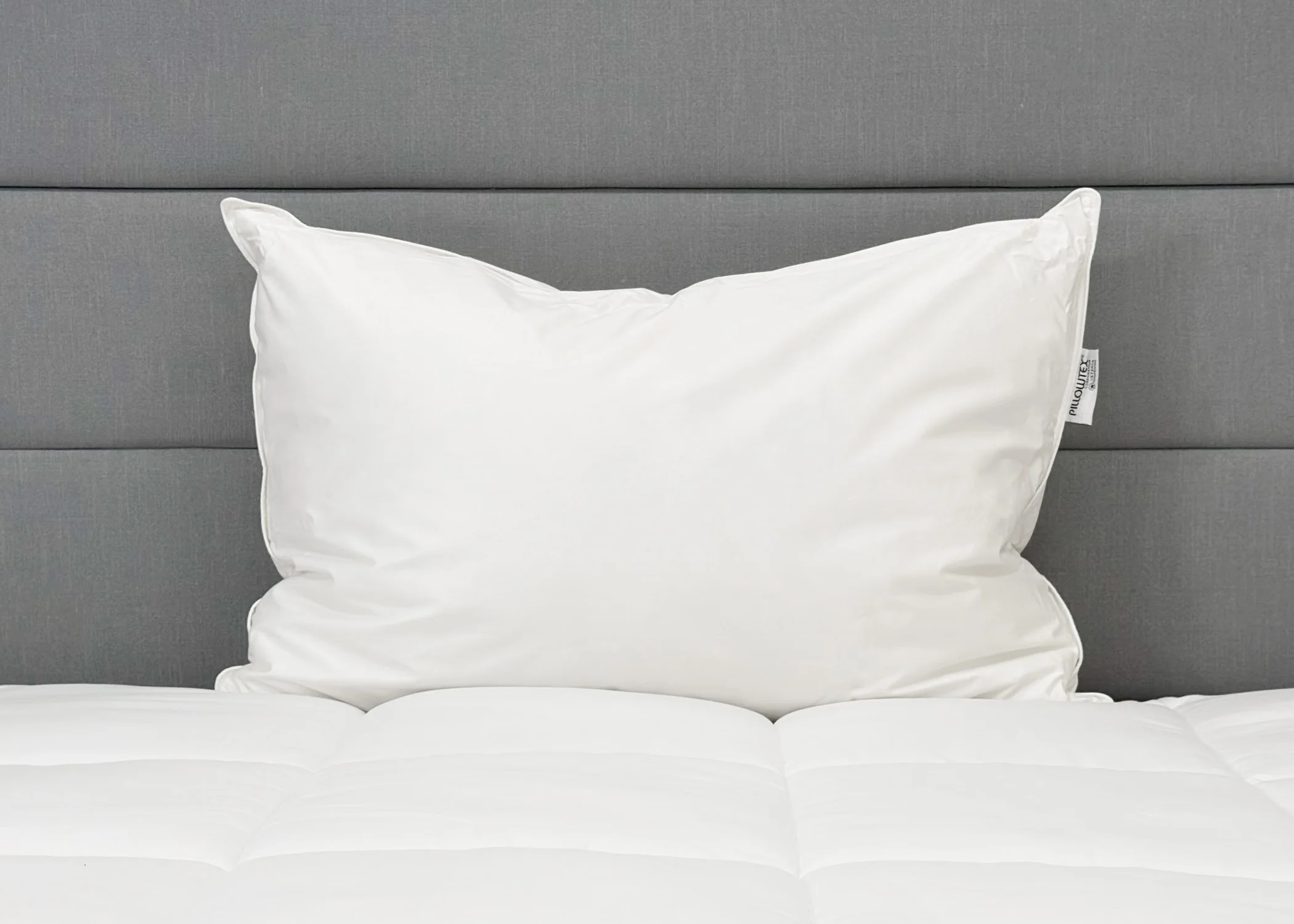 Pillowtex High End White Goose Down Pillow | Medium-Firm Support - Image 2