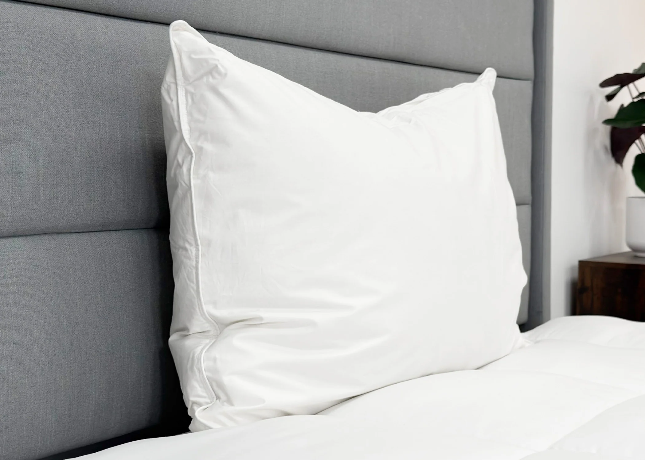 Pillowtex High End White Goose Down Pillow | Medium-Firm Support - Image 3