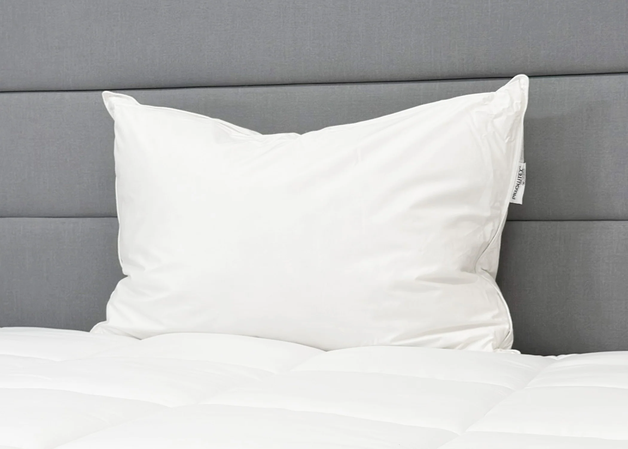 Pillowtex High End White Goose Down Pillow | Medium-Firm Support - Image 4