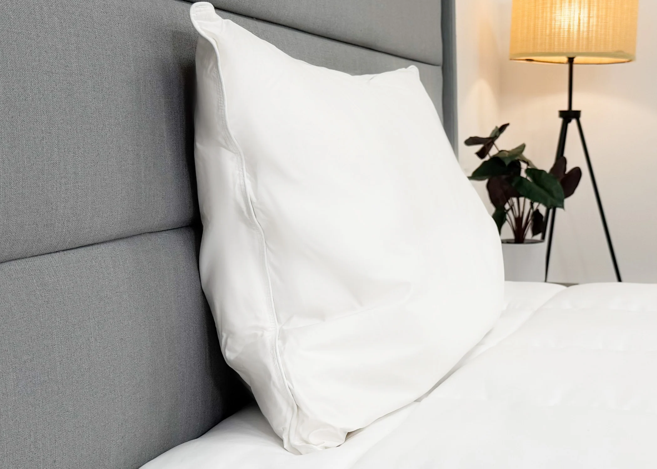 Pillowtex High End White Goose Down Pillow | Soft Support - Image 3