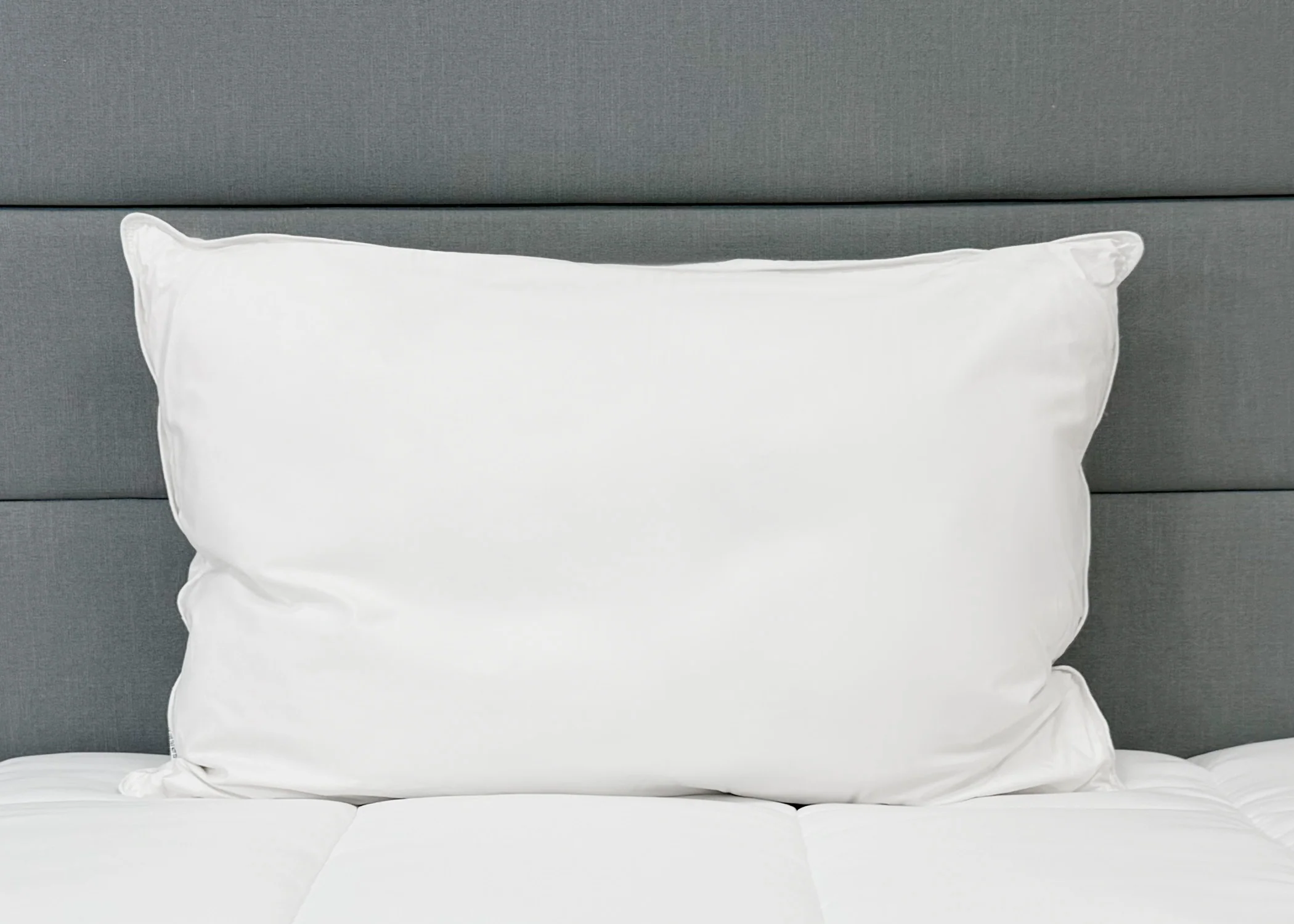 Pillowtex High End White Goose Down Pillow | Soft Support - Image 4