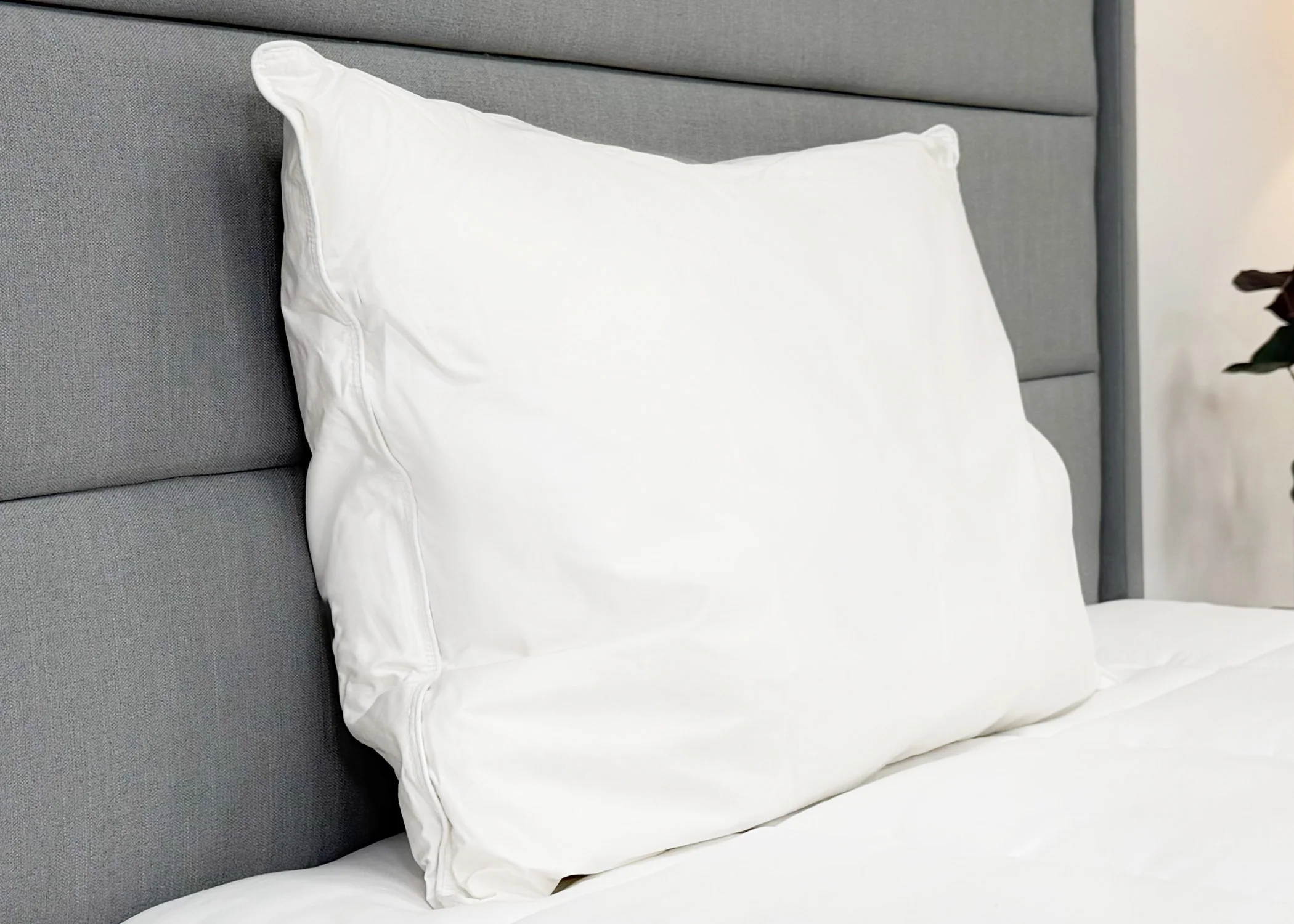 Pillowtex High End White Goose Down Pillow | Soft Support - Image 6