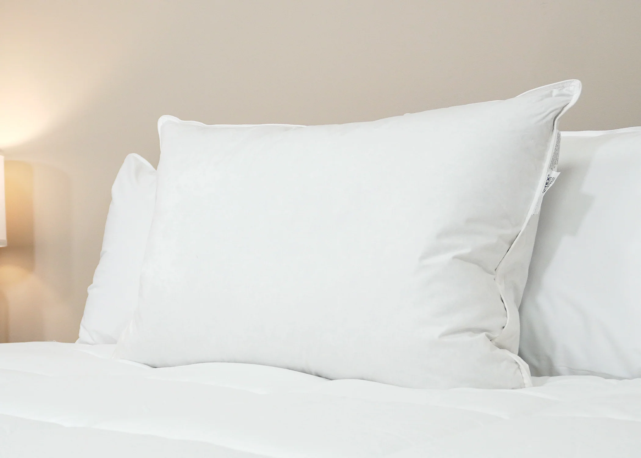 Pillowtex Luxury Core Down and Feather Pillow | 25% Feather/75% Down