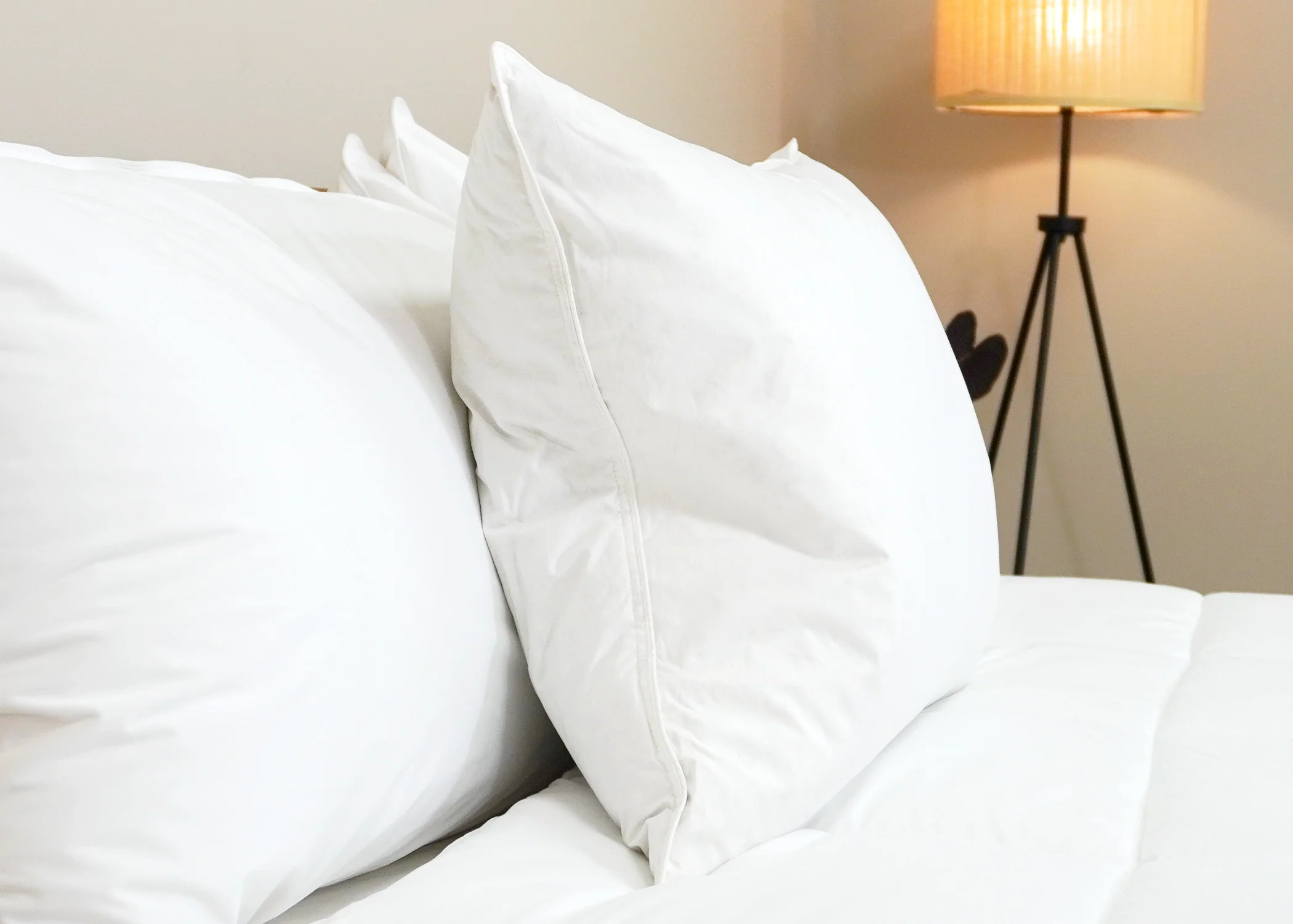Pillowtex Luxury Core Down and Feather Pillow | 25% Feather/75% Down - Image 10
