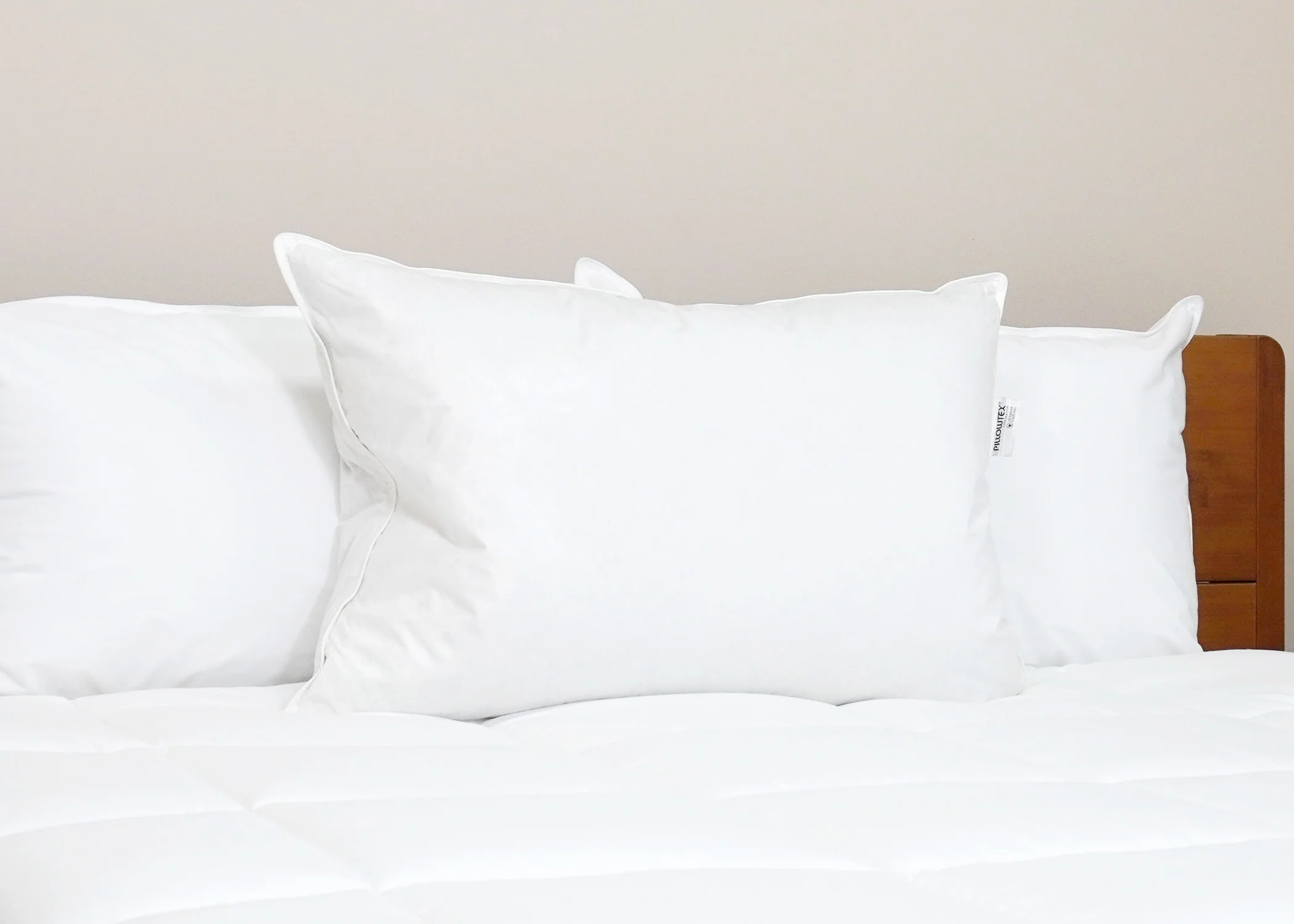 Pillowtex Luxury Core Down and Feather Pillow | 25% Feather/75% Down - Image 12