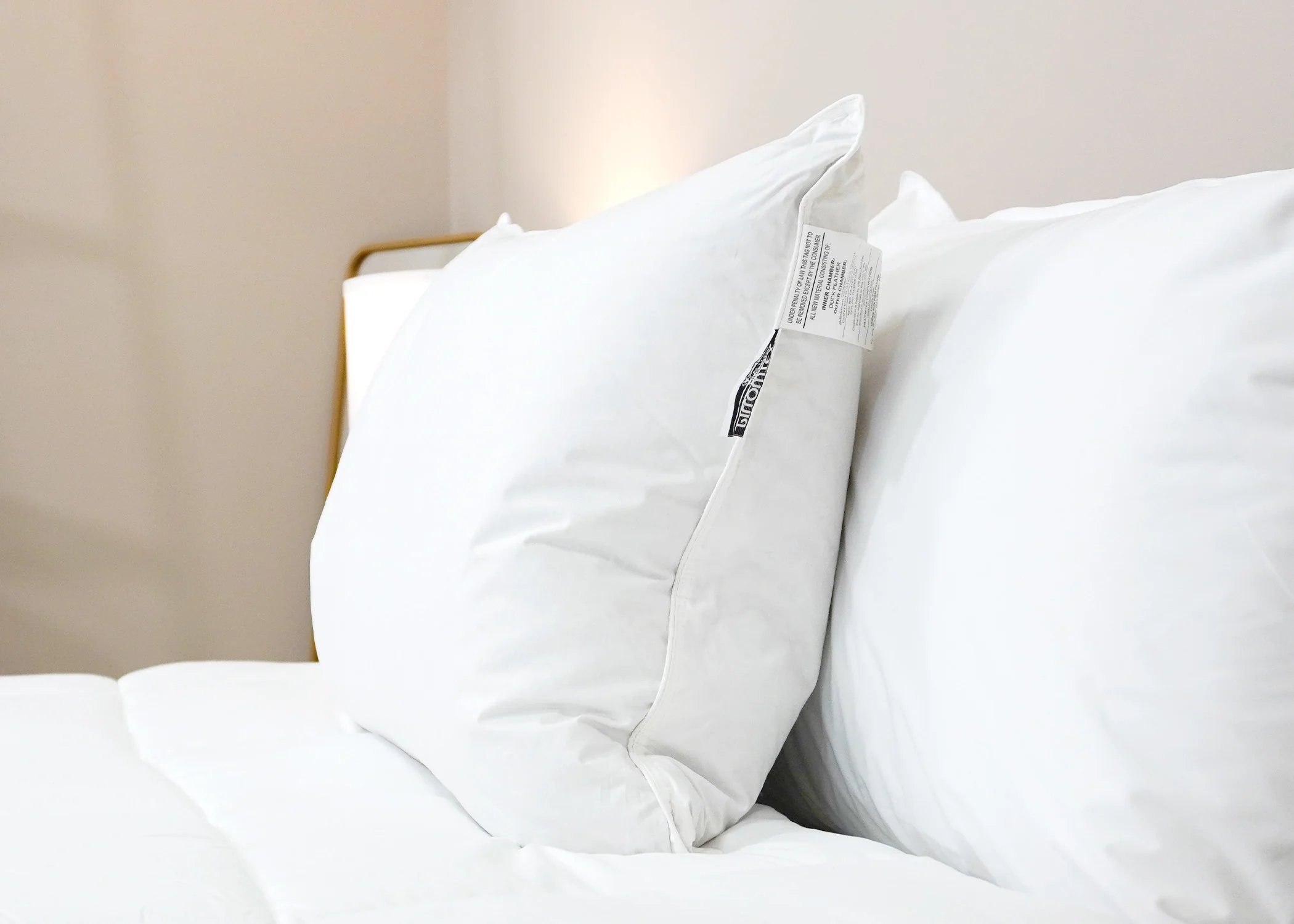 Pillowtex Luxury Core Down and Feather Pillow | 25% Feather/75% Down - Image 2