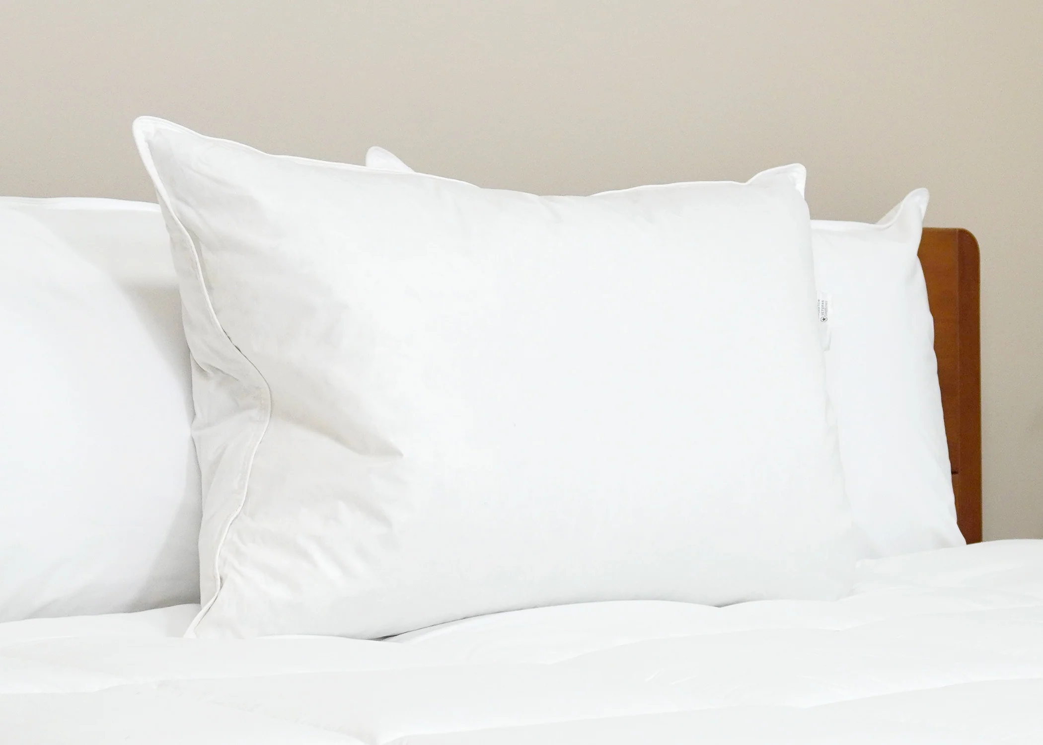 Pillowtex Luxury Core Down and Feather Pillow | 25% Feather/75% Down - Image 3