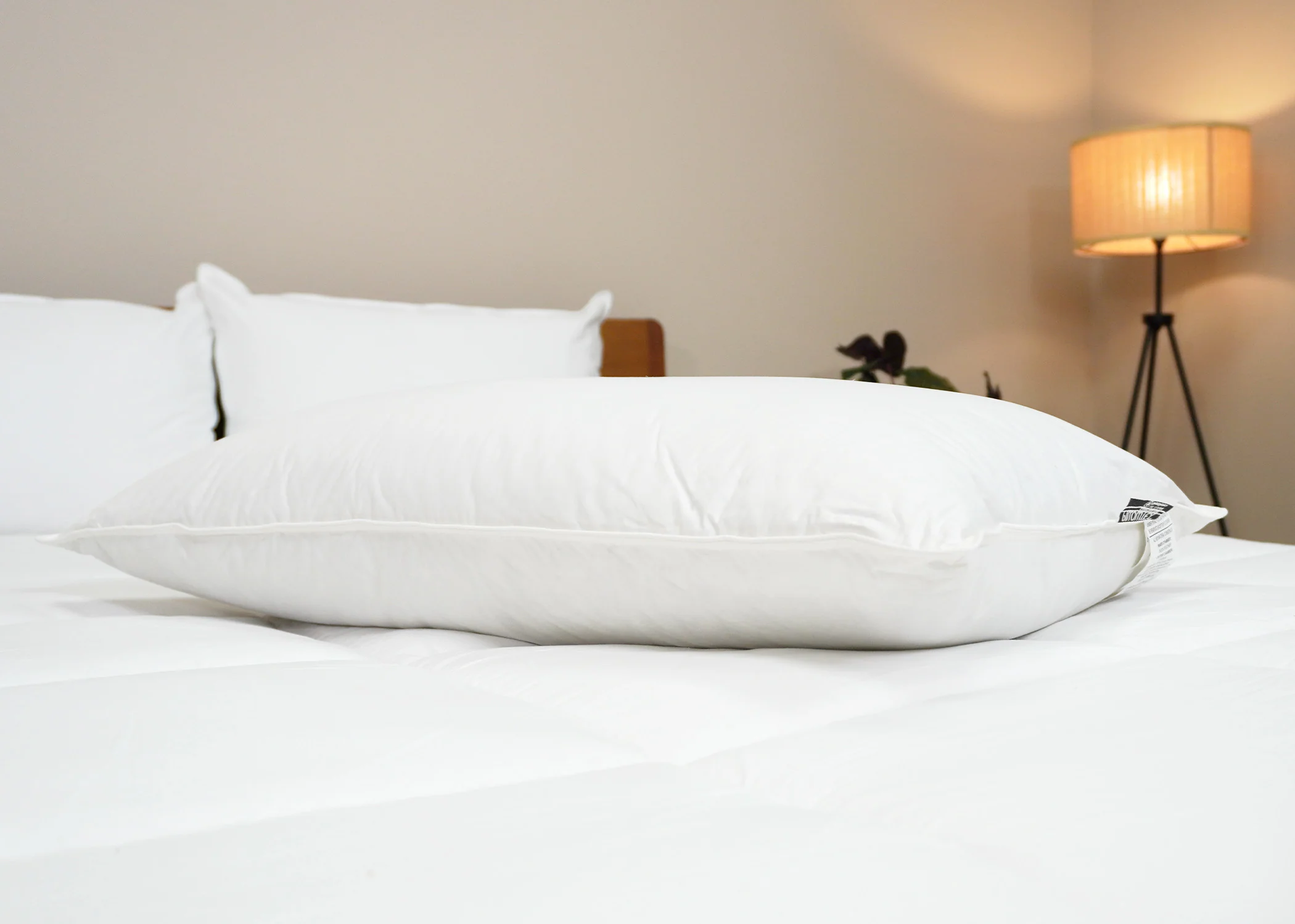 Pillowtex Luxury Core Down and Feather Pillow | 25% Feather/75% Down - Image 5