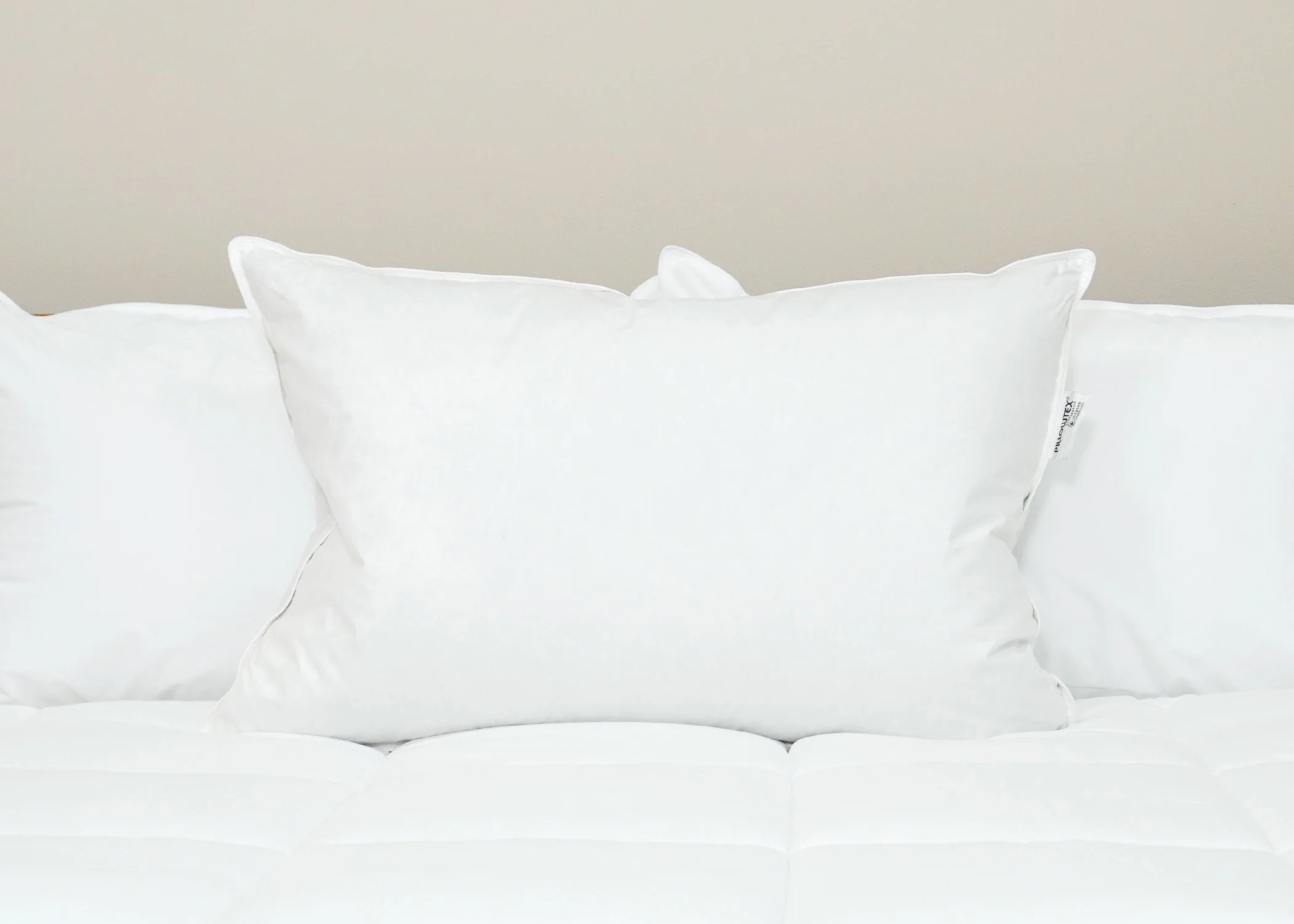 Pillowtex Luxury Core Down and Feather Pillow | 25% Feather/75% Down - Image 6