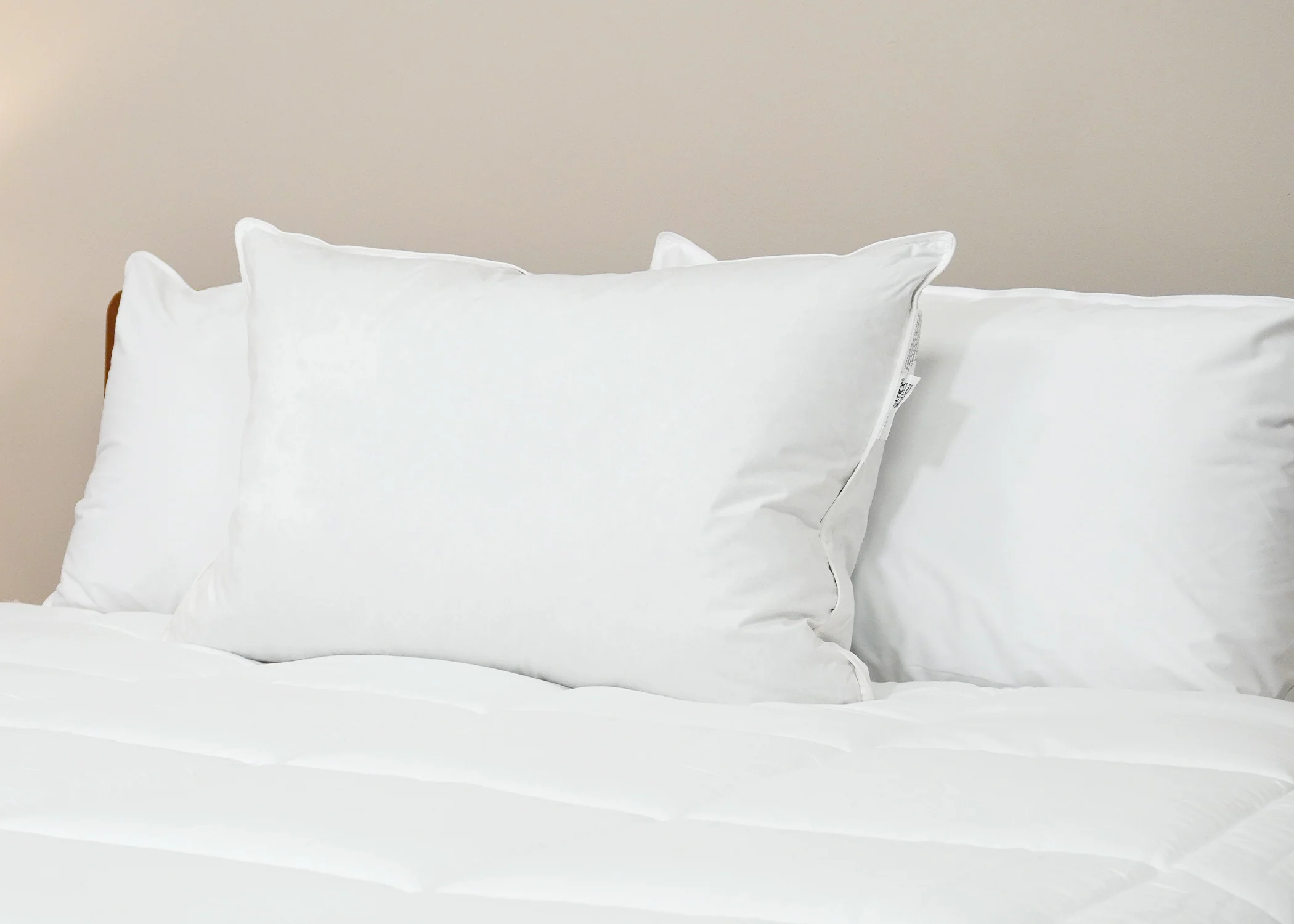 Pillowtex Luxury Core Down and Feather Pillow | 25% Feather/75% Down - Image 8