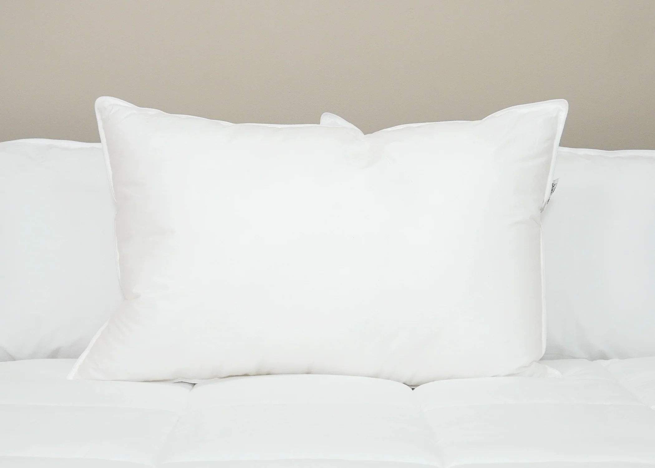 Pillowtex Premium Polyester Pillow | Firm - Image 2