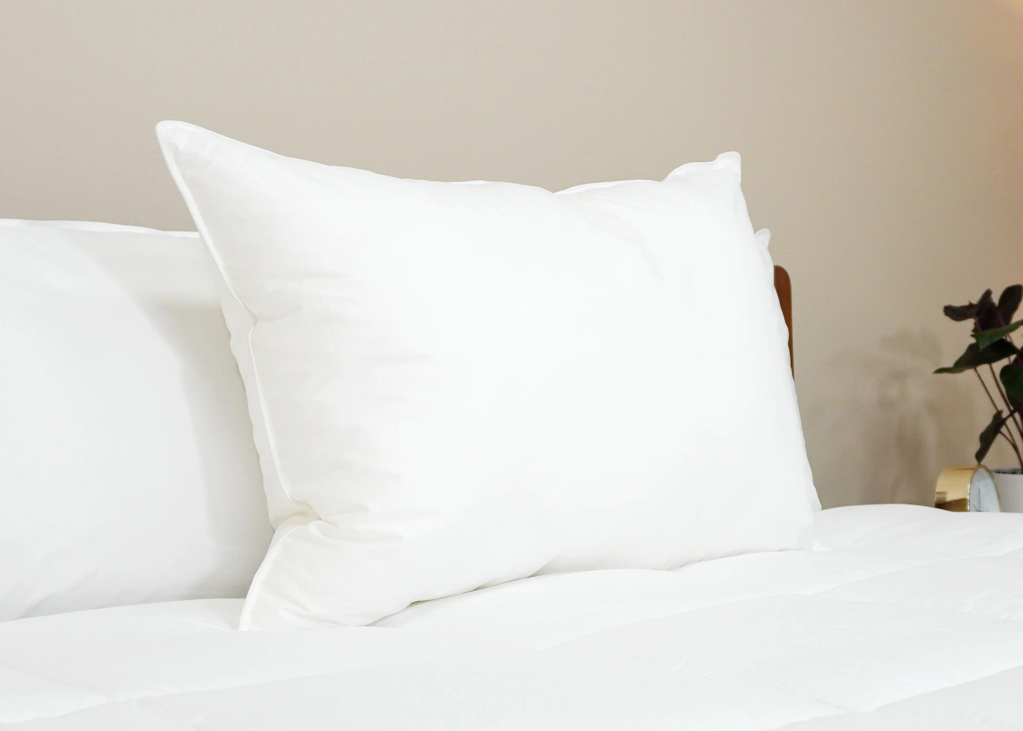 Pillowtex Premium Polyester Pillow | Firm - Image 3