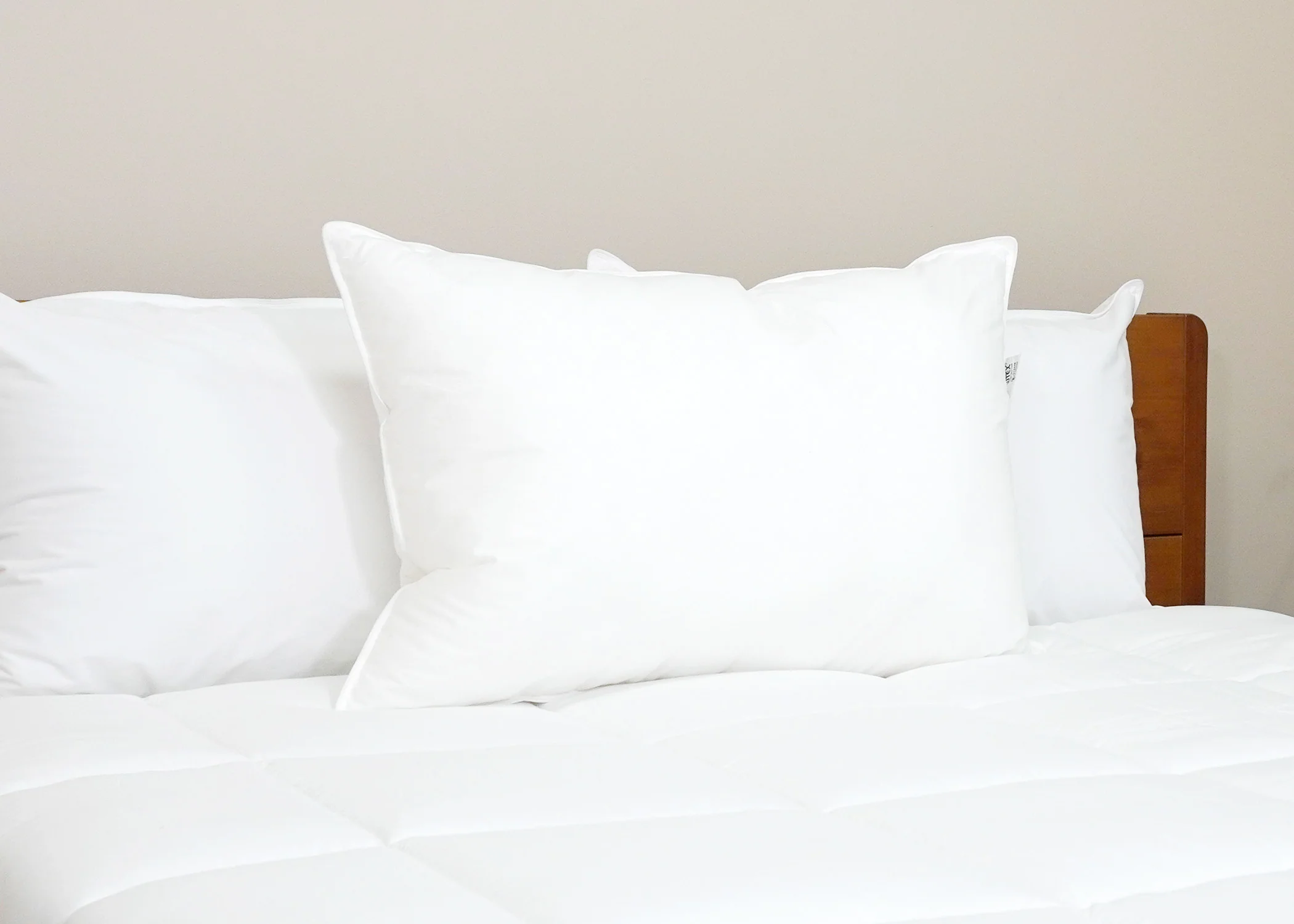 Pillowtex Premium Polyester Pillow | Firm - Image 7