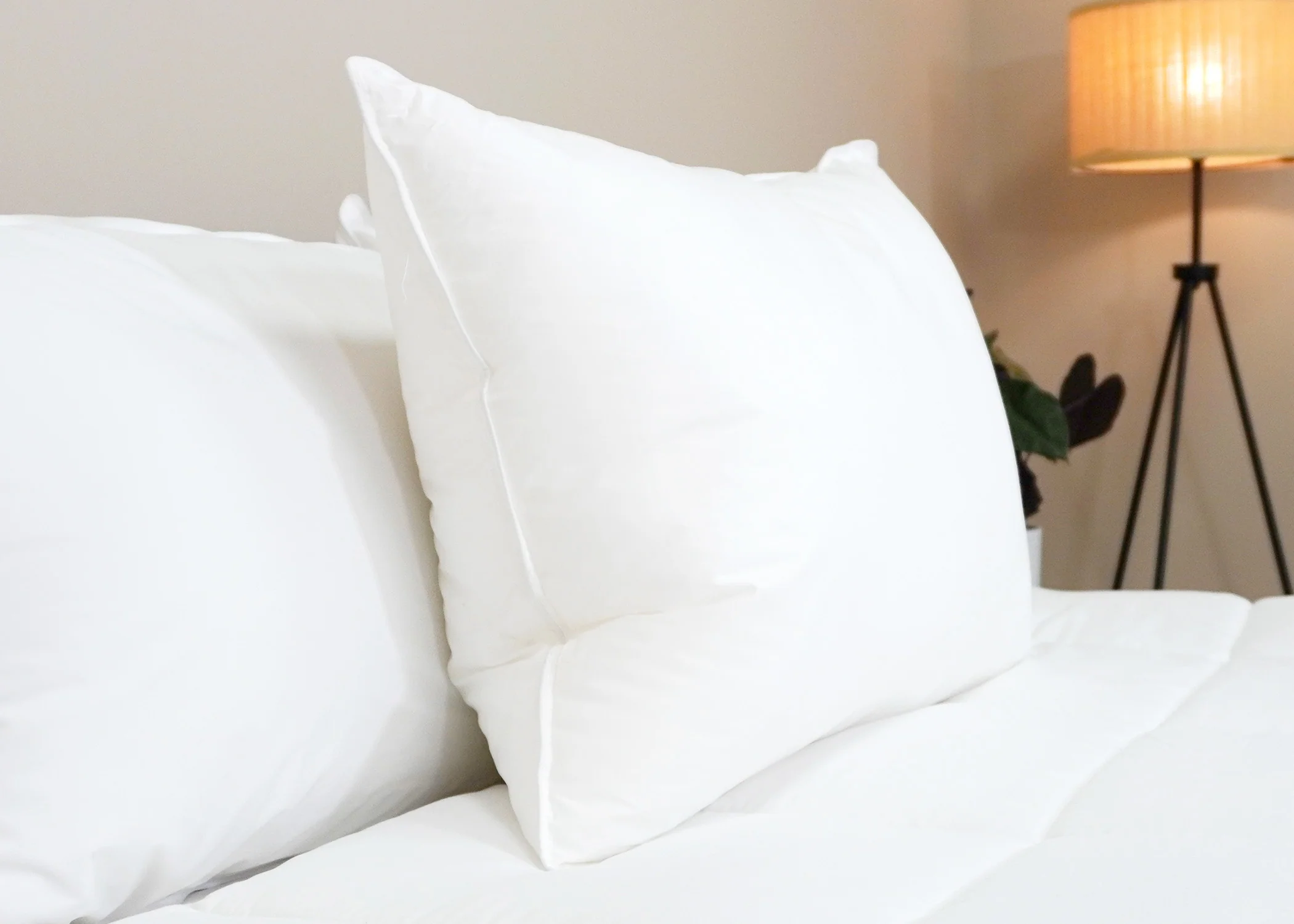 Pillowtex Premium Polyester Pillow | Firm - Image 8