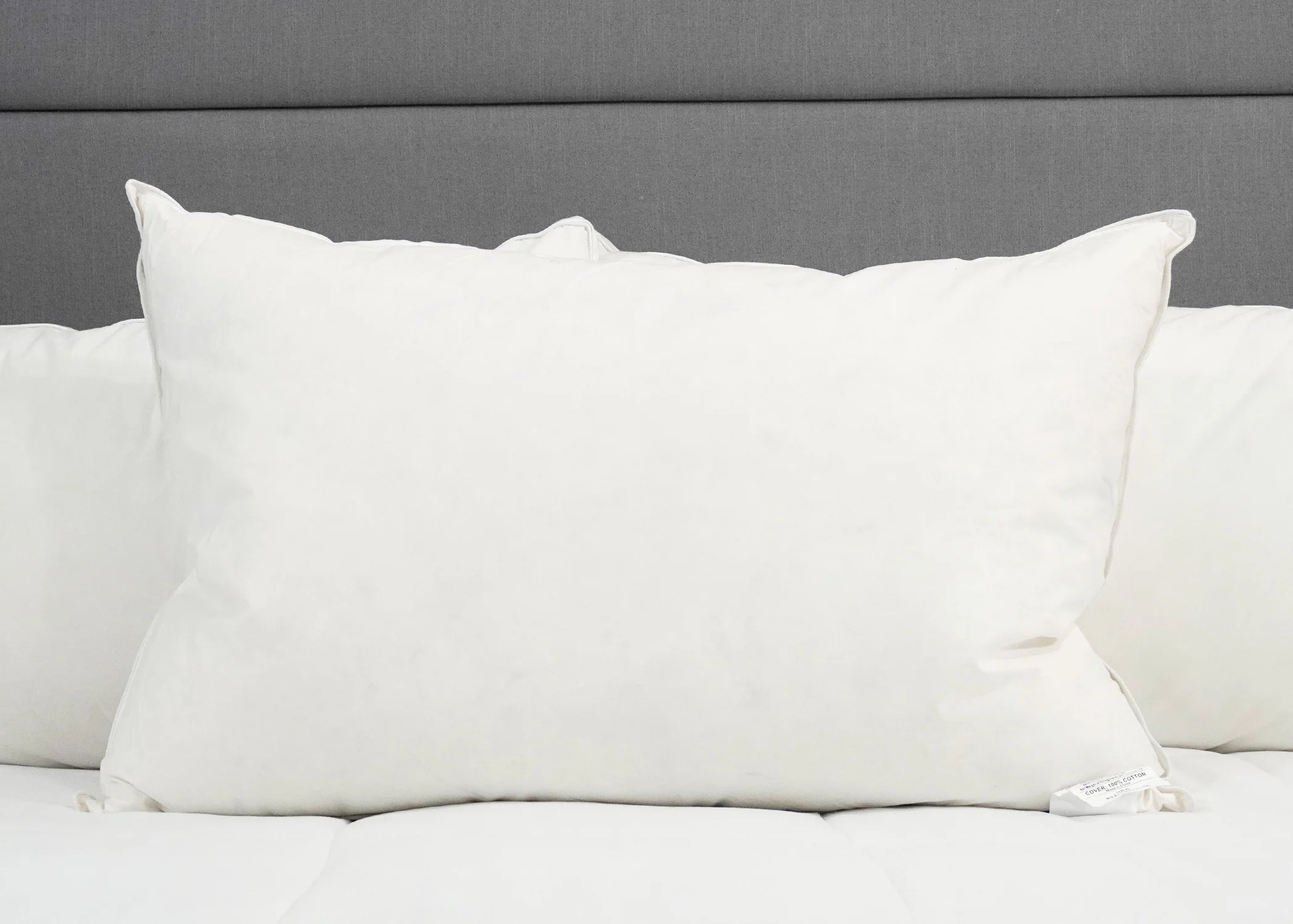 Down Etc. 25% White Goose Down / 75% White Goose Feather Pillow - Image 3