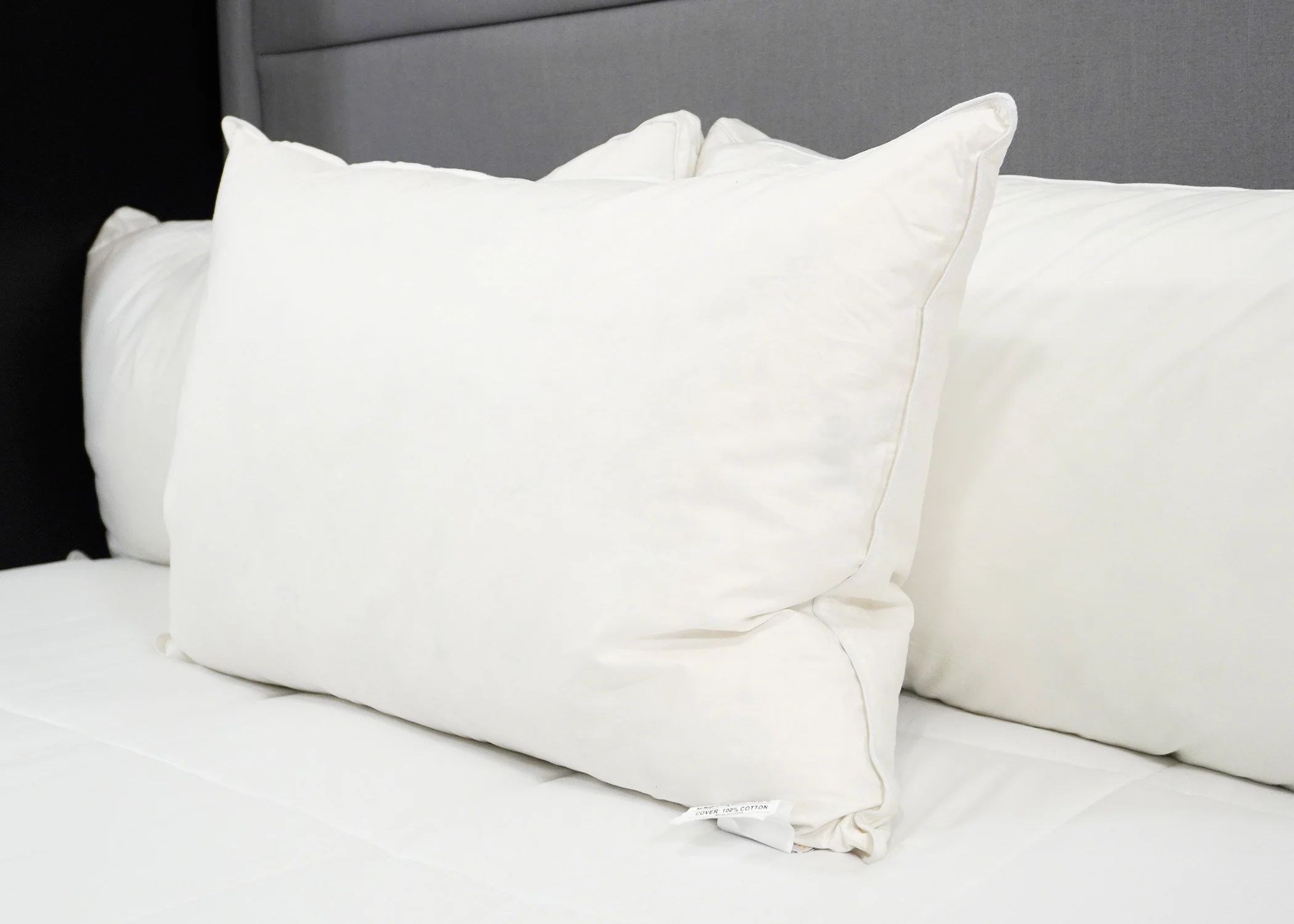 Down Etc. 25% White Goose Down / 75% White Goose Feather Pillow - Image 4